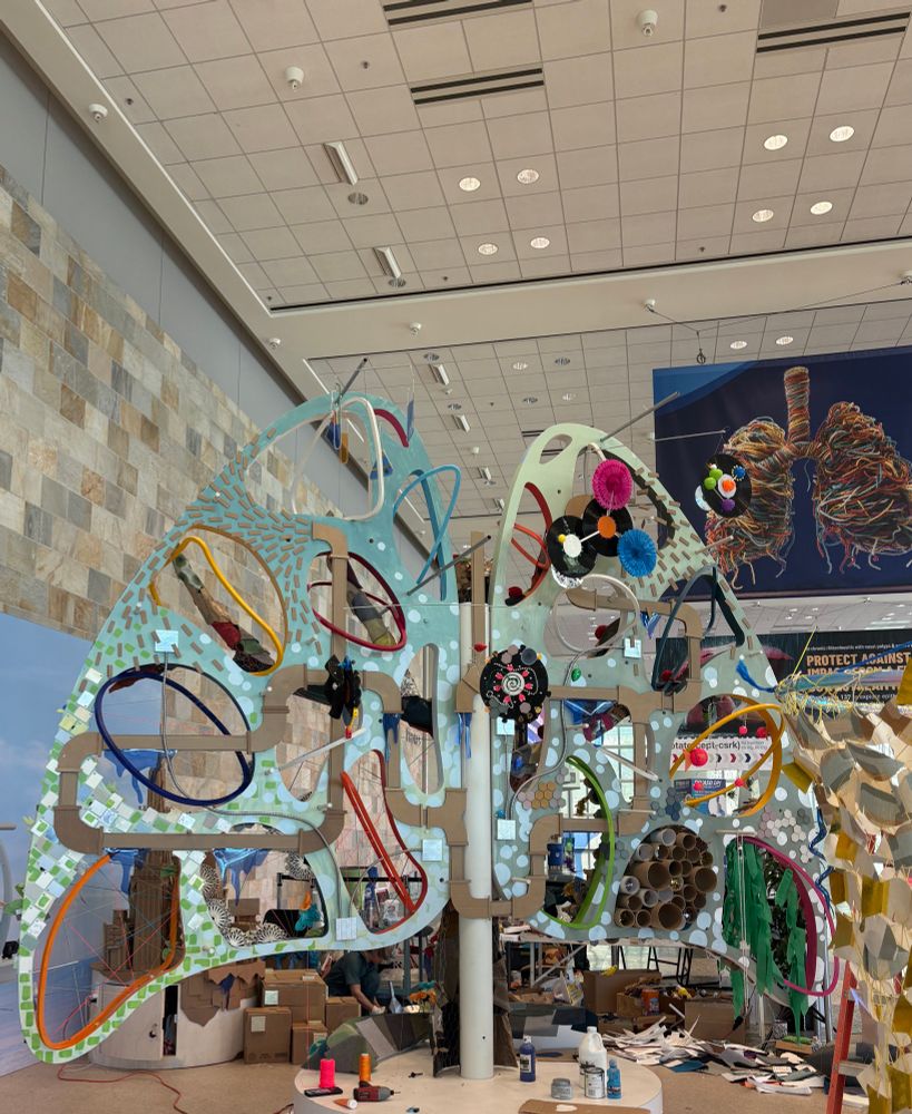 Lung art installation