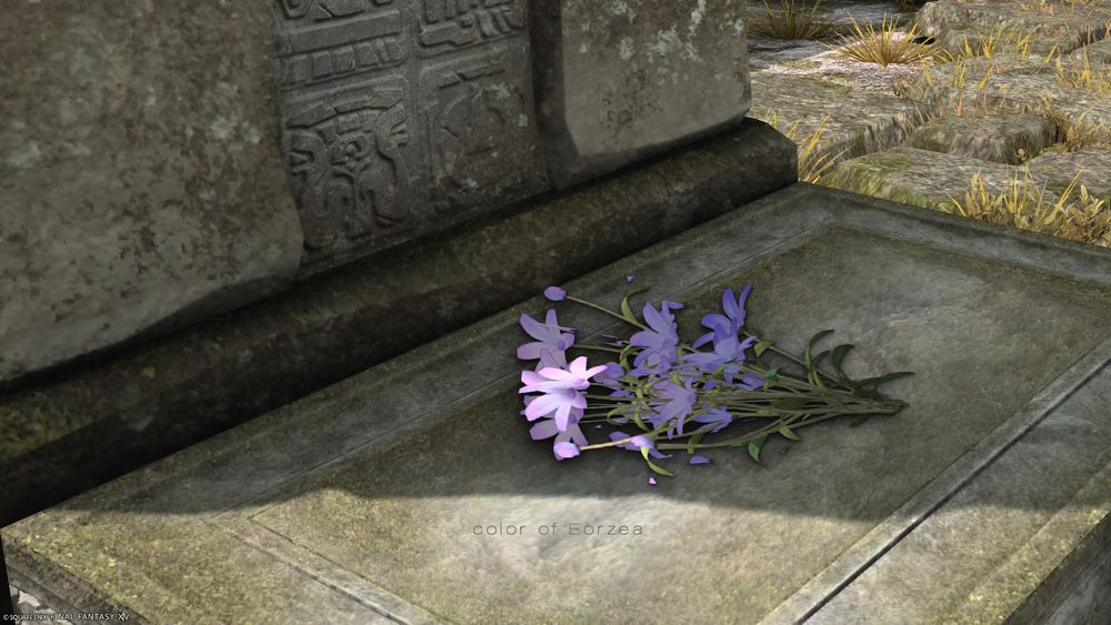 FF14のスクリーンショット
オルコ・パチャ