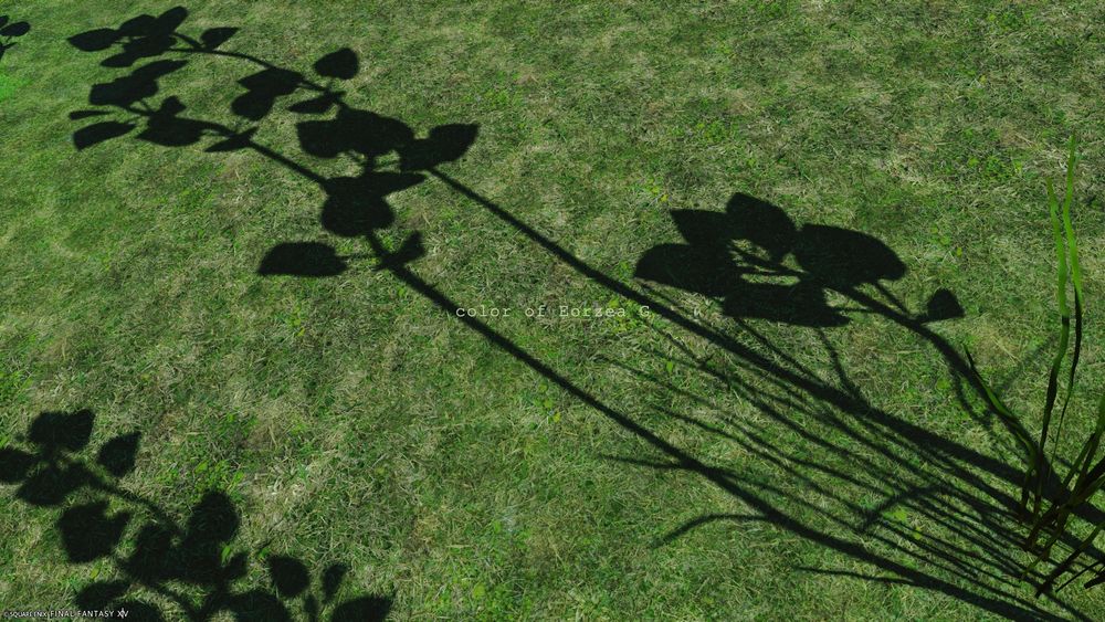 FF14のスクリーンショット
イル・メグ