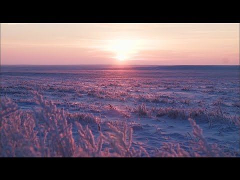 INTO THE LIGHT - Human Trafficking in Indigenous Communities in Alberta