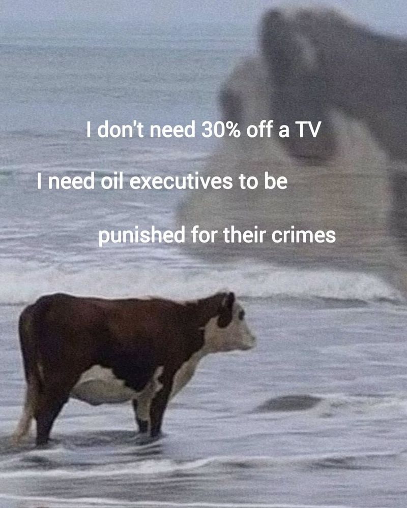 I dont need 30% off a t 
I need oil executives to be
Punished for their crimes
