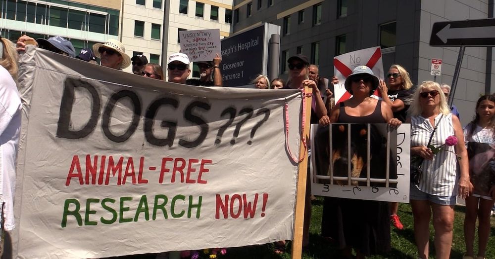 More than 100 animal lovers and activists gathered on the sidewalk outside St. Joseph’s Hospital in London, Ont. to express their reaction to a report this week about animal testing conducted at its L...