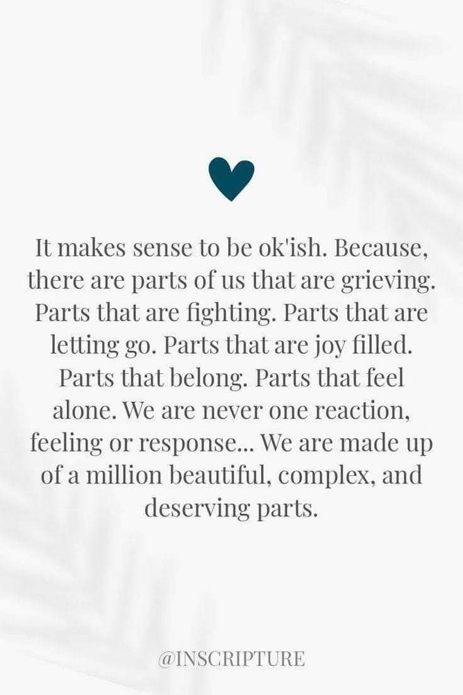 It makes sense to be ok'ish. Because, there are parts of us that are grieving. Parts that are fighting. Parts that are letting go. Parts that are joy filled. Parts that belong. Parts that feel alone. We are never one reaction, feeling or response... We are made up of a million beautiful, complex, and deserving parts. @INSCRIPTURE