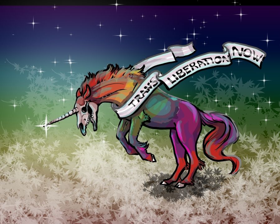 illustration: across a field of flowers, with stars in the background, a rainbow unicorn with a horse skull for a face lunges forward with its horn gleaming. a banner in trans flag colors wrapped around the unicorn's neck says TRANS LIBERATION NOW. 