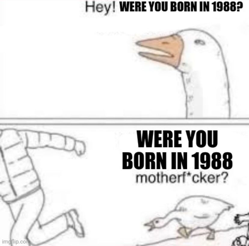 Angry goose meme:

1st Panel: "Hey! Were you born in 1988?"

2nd Panel: [angrily chasing a man] "Were you born in 1988 motherfucker?"