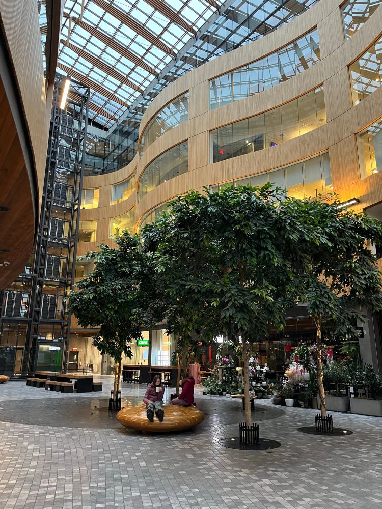 Trees and seating area in The Atrium, Victoria 