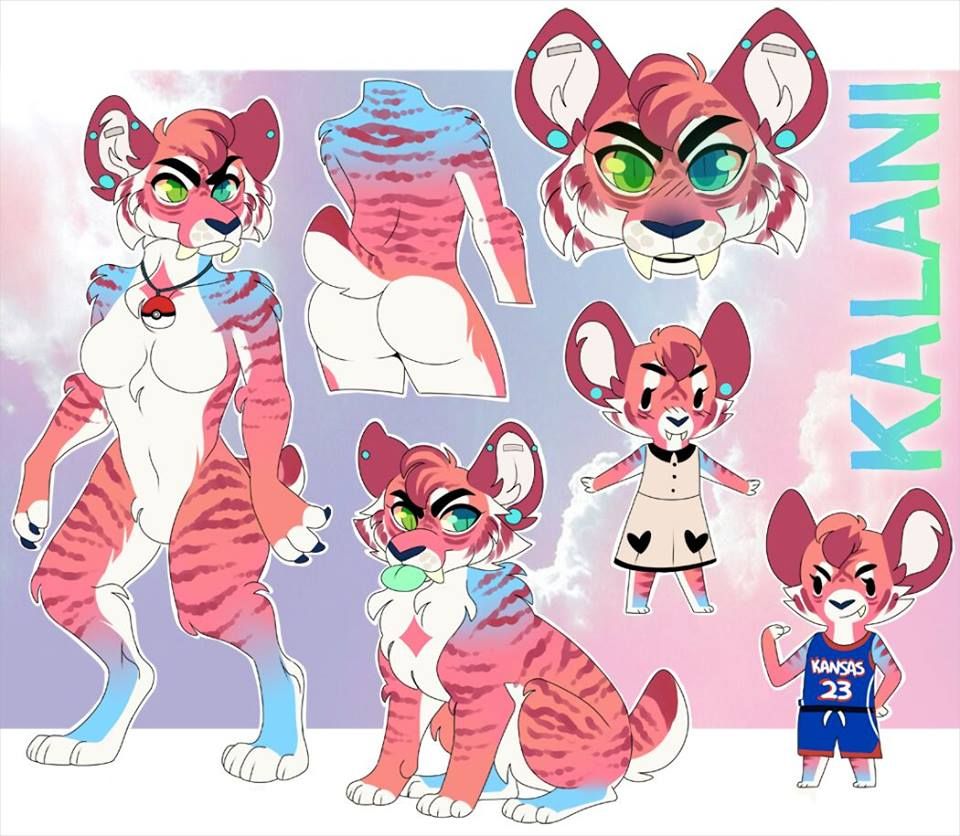 Kalani reference 2.0