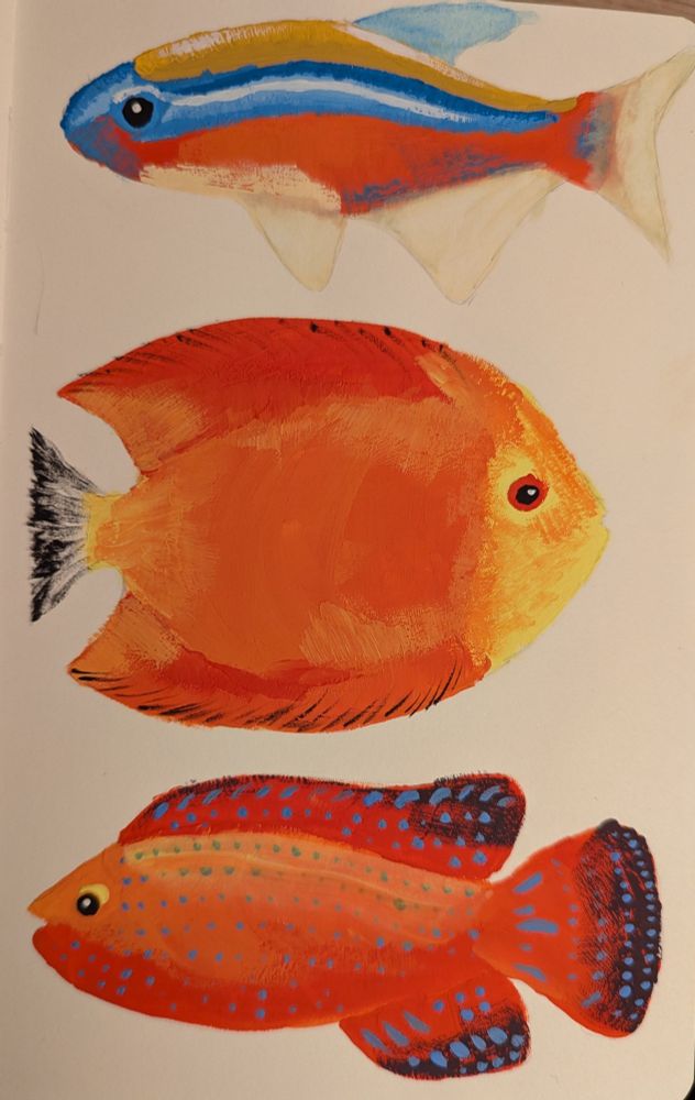 Three brightly coloured fish, painted with gouache.