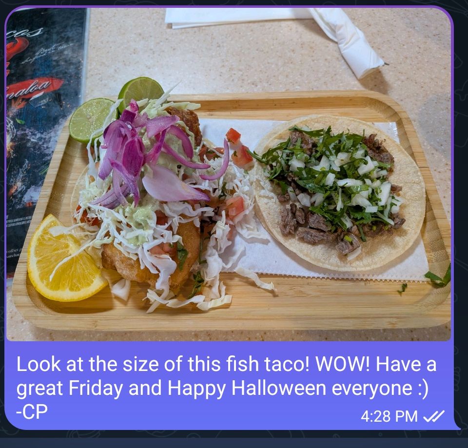 A big fish taco that I had to tell my friends about