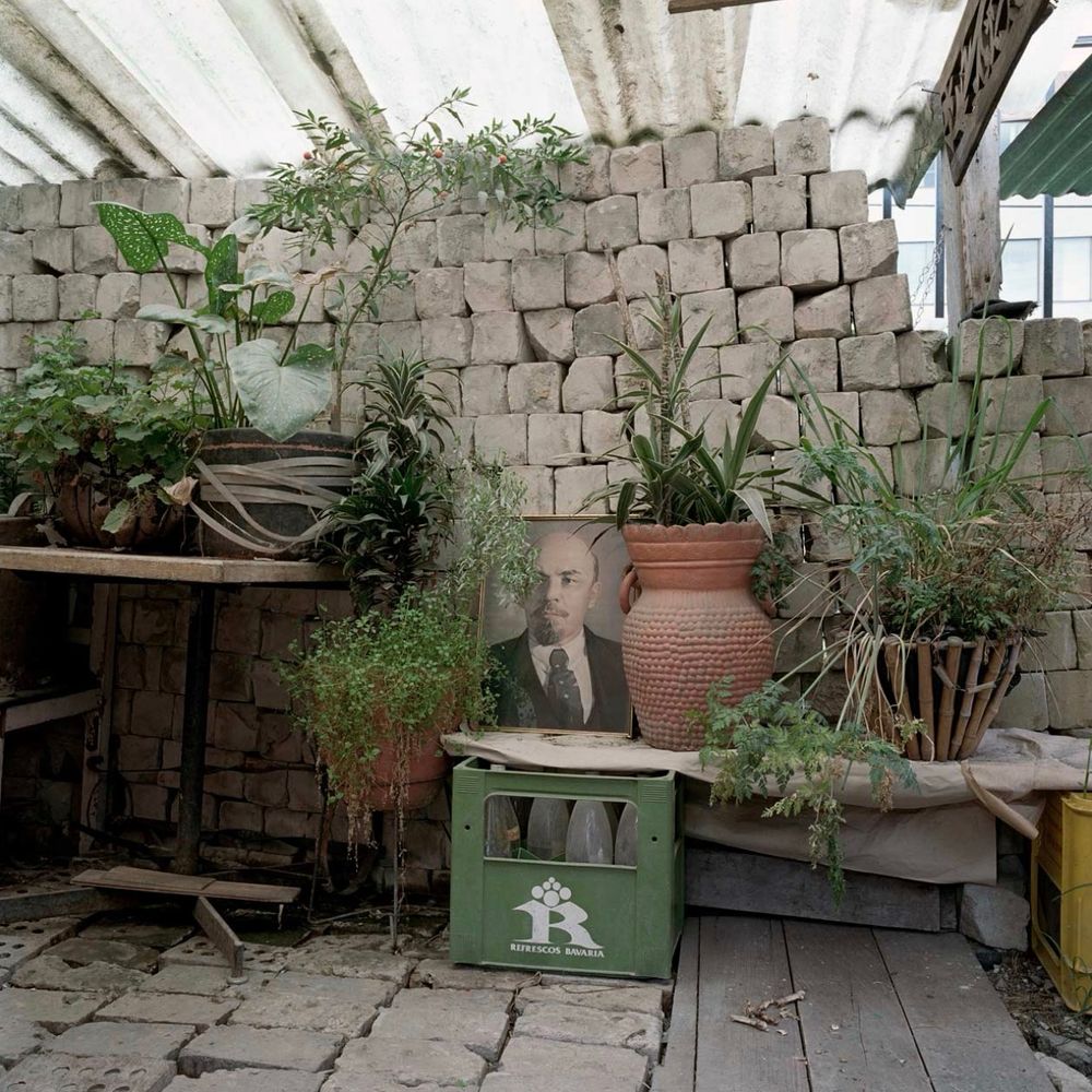 Tables and benches with several large potted plants in front of a wall of uneven stone bricks. Next to one of the plants on the bench is a large framed portrait of Lenin. 