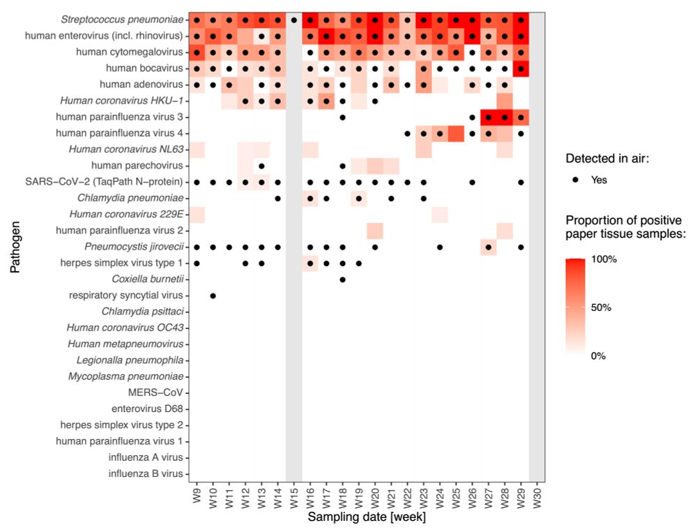 Heatmap chart showing the detection of various pathogens over different sampling weeks (W9 to W30). Pathogens are listed on the y-axis, including viruses and bacteria such as Streptococcus pneumoniae, human coronaviruses, influenza viruses, and others. The x-axis represents the sampling weeks. Black dots indicate detection of the pathogen in the air. The colour gradient, ranging from white to dark red, represents the proportion of positive paper tissue samples, with darker shades indicating higher proportions. This alt text was generated by ChatGPT.
