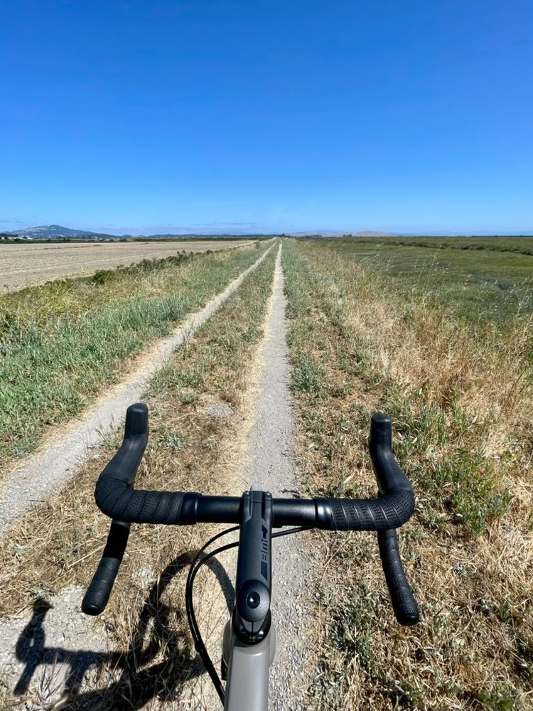 A view from my bike, looking out across the handlebars. A very straight rutted gravel road extends to the horizon under a cloudless blue sky in Marin County, California. Green and brown fields border both sides of the road.