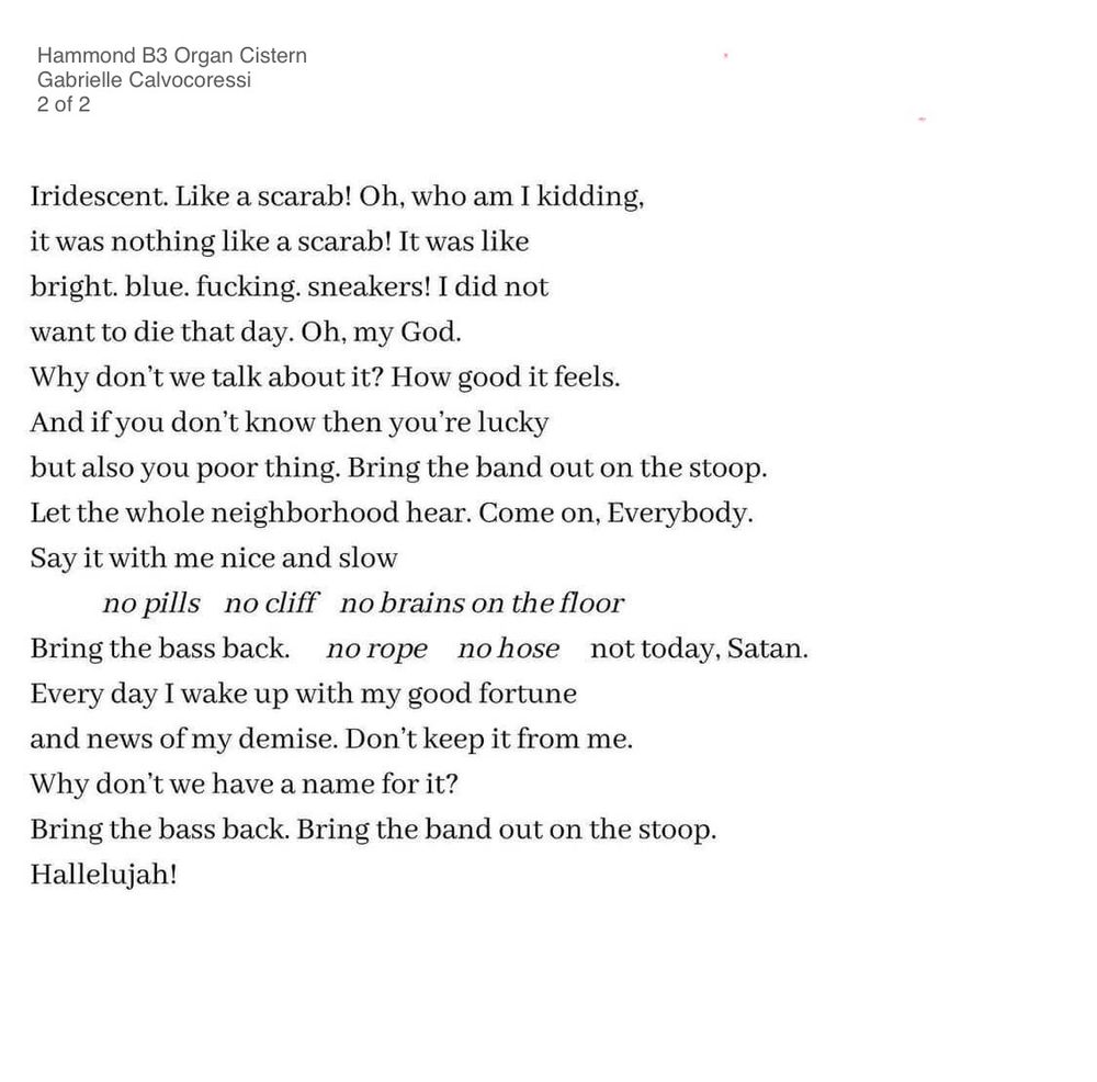 Iridescent. Like a scarab! Oh, who am I kidding, it was nothing like a scarab! It was like bright. blue. fucking. sneakers! I did not want to die that day. Oh, my God.
Why don't we talk about it? How good it feels.
And if you don't know then you're lucky
but also you poor thing. Bring the band out on the stoop.
Let the whole neighborhood hear. Come on, Everybody.
Say it with me nice and slow
no pills no cliff no brains on the floor
Bring the bass back. norope nohose not today, Satan.
Every day I wake up with my good fortune and news of my demise. Don't keep it from me.
Why don't we have a name for it?
Bring the bass back. Bring the band out on the stoop.
Hallelujah!

Hammond B3 Organ Cistern
Gabrielle Calvocoressi
2 of 2