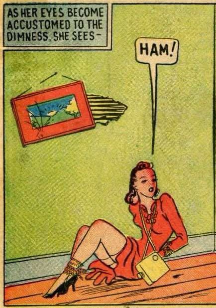 a cartoon panel wherein a bound lady with objectively incorrect proportions says HAM.