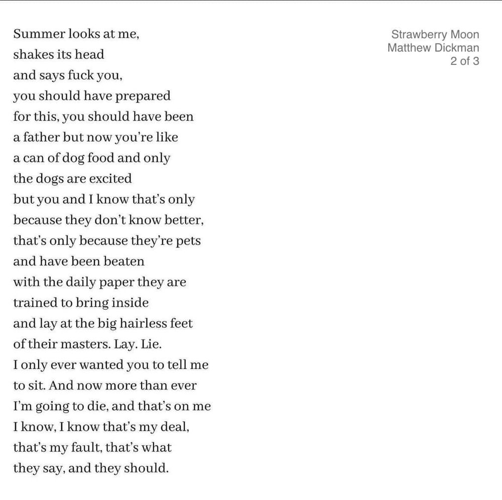 Summer looks at me, 
shakes its head 
and says fuck you, 
you should have prepared 
for this, you should have been 
a father but now you're like 
a can of dog food and only 
the dogs are excited
but you and I know that's only 
because they don't know better, 
that's only because they're pets 
and have been
beaten with the daily paper they are 
trained to bring inside
and lay at the big hairless feet 
of their masters. Lay. Lie.
I only ever wanted you to tell me 
to sit. And now more than ever 
I'm going to die, and that's on me 
I know, I know that's my deal, 
that's my fault, that's what 
they say, and they should.
