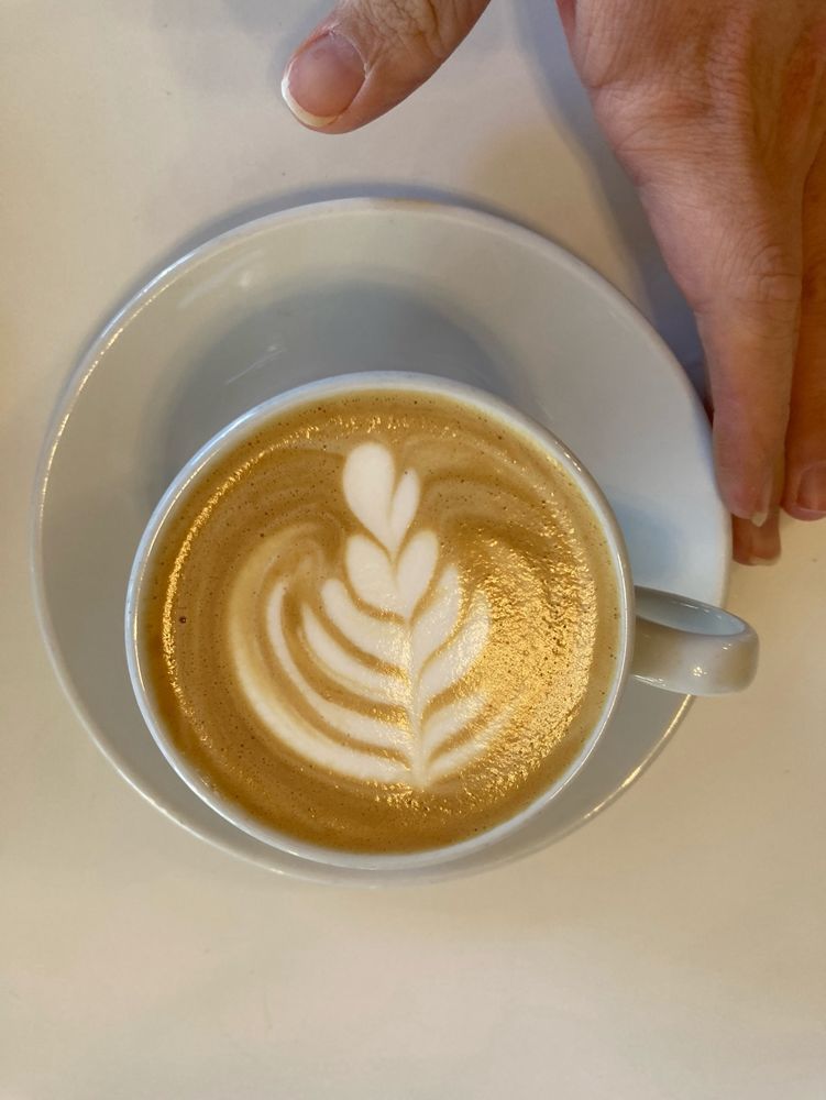 6-stack tulip cappuccino