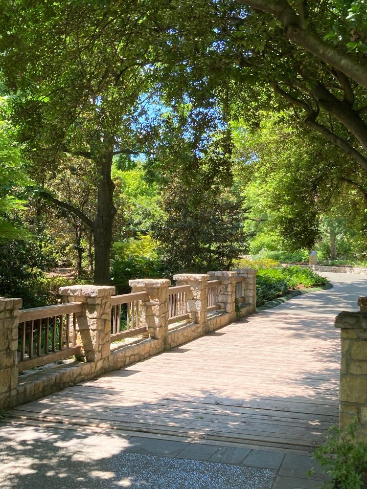 A sunny span across a bridge opens before you on a woodsy path.