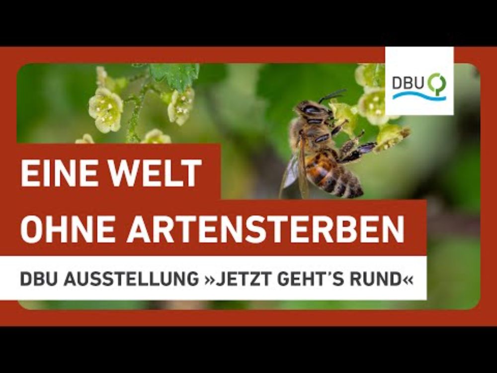 Eine Welt ohne Artensterben | DBU Ausstellung »Jetzt geht’s rund – Kreisläufe statt Abfälle«