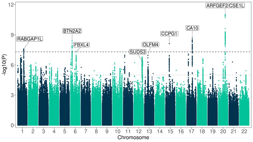 "Manhattan plot" for DecodeME's principal genome-wide association study (GWAS) showing 6 genome-wide significant associations, and 2 additional signals that are significant in DecodeME's other GWAS.