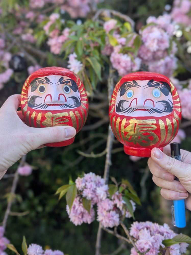 A photo of two Daruma dolls in front of a cherry tree in blossom. All four eyes have been filled in.