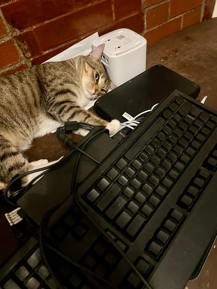 Nestor is laying down amongst a slew of electronic equipment, including a keyboard with unlabeled keys. His face looks perplexed.