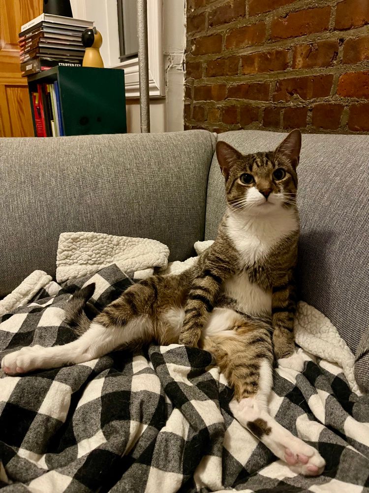 Tom is sitting in the couch, upright on his butt, with his legs splayed out in front of him.