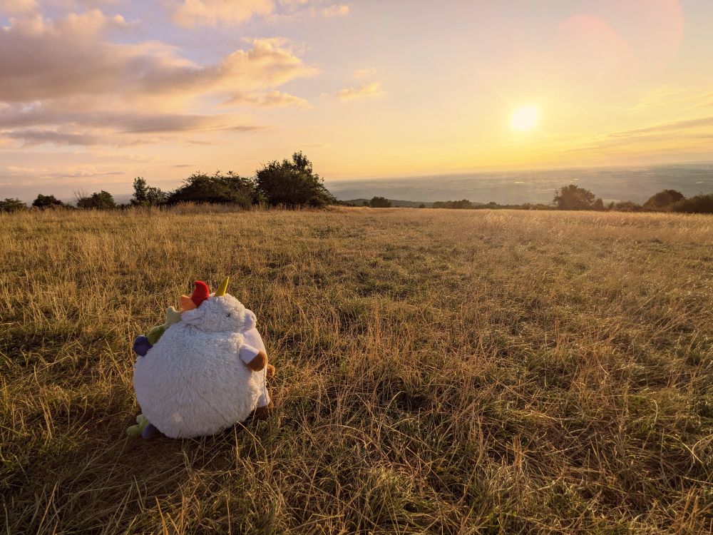 Photo grand angle de paysage pris en haut d'un petit mont, vue sur une prairie au lever du soleil. Posée dans l'herbe, une grosse peluche Licorne (une grosse boule avec 4 toutes petites papattes) regarde l'horizon et le soleil qui s'étale comme une grosse tâche jaune dans le ciel 