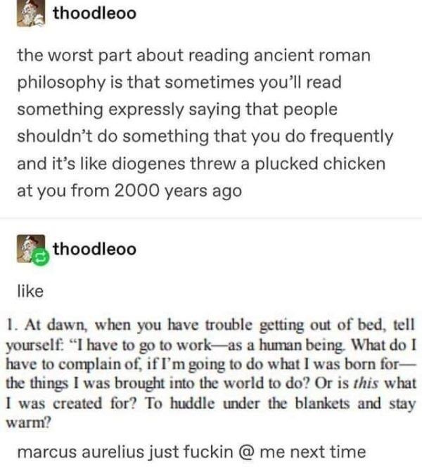 Alt-text: A Tumblr post by user thoodleoo. The first part is a commentary about reading ancient philosophy and feeling personally attacked by it. The second part is a quoted passage from Marcus Aurelius about getting out of bed at dawn, followed by the user’s exasperated reaction.

Transcription:

thoodleoo
the worst part about reading ancient roman philosophy is that sometimes you’ll read something expressly saying that people shouldn’t do something that you do frequently and it’s like diogenes threw a plucked chicken at you from 2000 years ago

thoodleoo
like

At dawn, when you have trouble getting out of bed, tell yourself: “I have to go to work—as a human being. What do I have to complain of, if I’m going to do what I was born for—the things I was brought into the world to do? Or is this what I was created for? To huddle under the blankets and stay warm?”

marcus aurelius just fuckin @ me next time