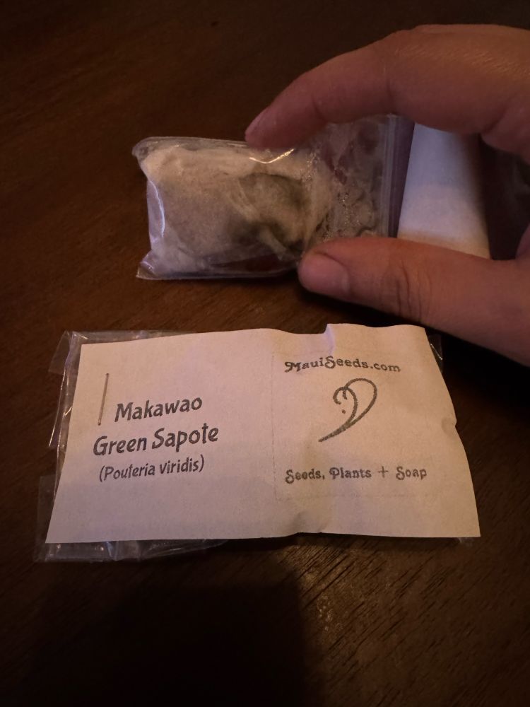 Green sapote seeds #gardening