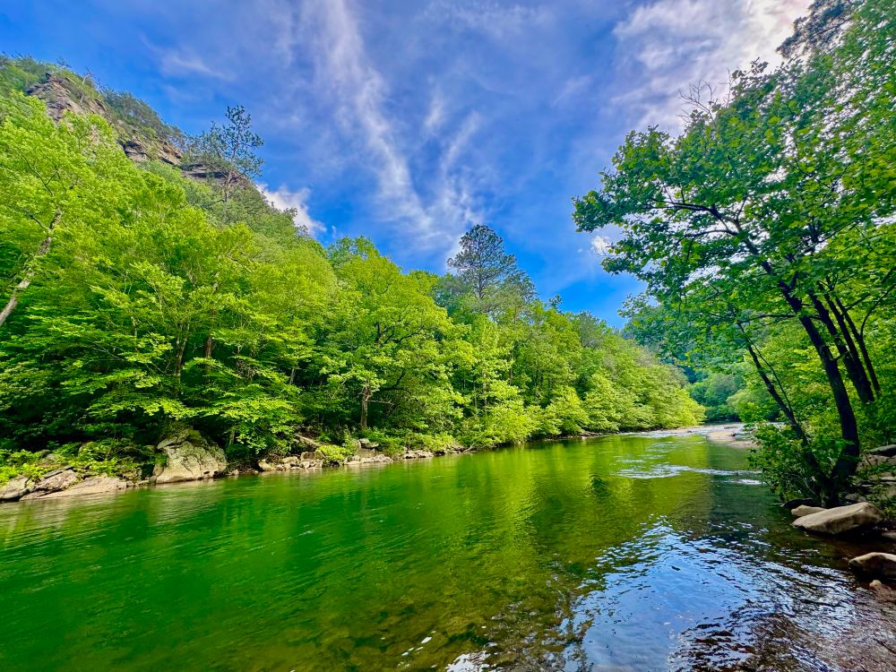 River surrounded by forests 