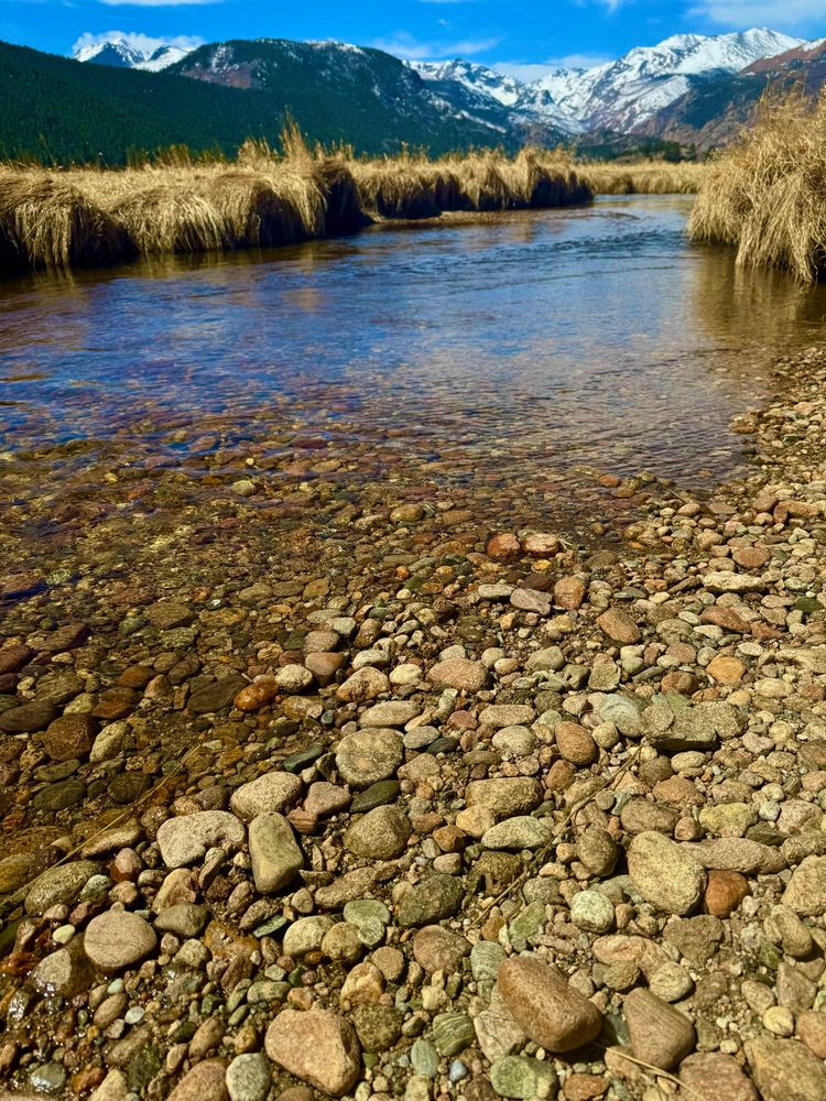 Rocky stream and field with mountains
