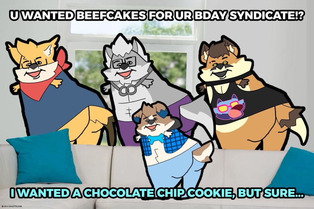 Top Text: "U WANTED BEEFCAKES FOR UR BDAY SYNDICATE!?". Bottom Text: "I WANTED A CHOCOLATE CHIP COOKIE, BUT SURE...". It's the couch meme with SocksTheWolf, VinceWuff, & TibbyGrrr behind me as I'm sitting on the couch.
