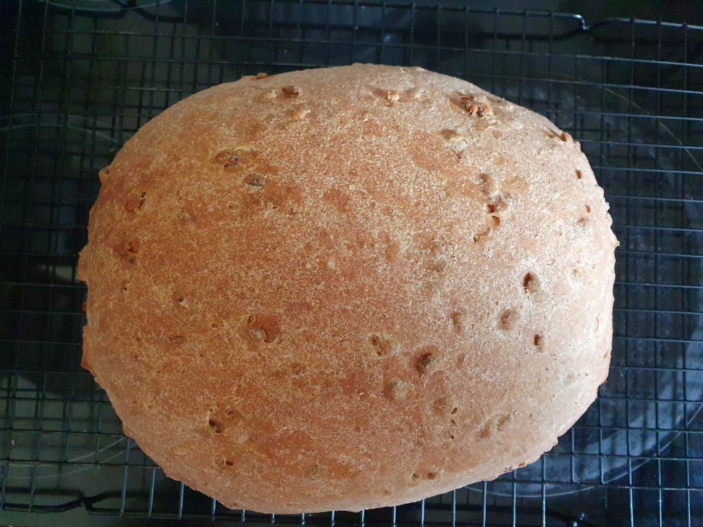Top down look at an oval bread that has a olden appearance and is flecked with grains in the crust =)
