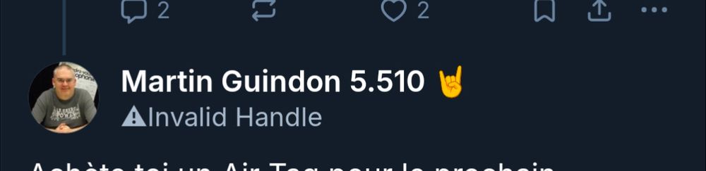 Capture d'écran montrant Martin avec un invalid handle 