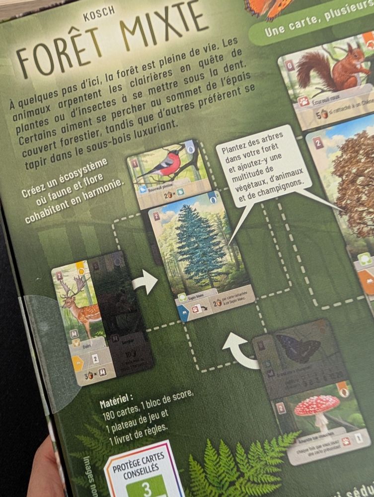 Zoom sur la boîte de jeu de forêt mixte qui est scellée par des pastilles de scotch 
