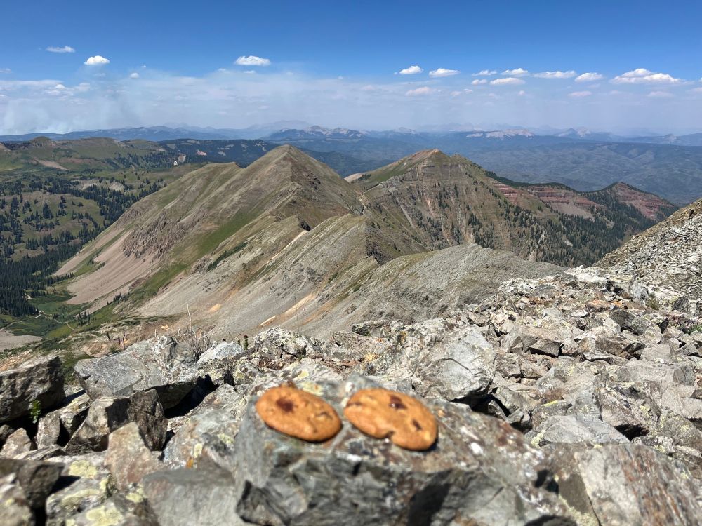 Mountains viewed from a different mountain top. In the foreground are two chocolate chip cookies which much like me are out of focus.