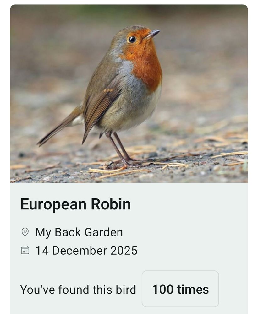 A photo of a small Robin, brown, grey and with a red chest, and a look in it's black eye that suggest it's about to walk across the pub to do some serious damage to you. 

Below the photo is text saying you've found this bird 100 times 