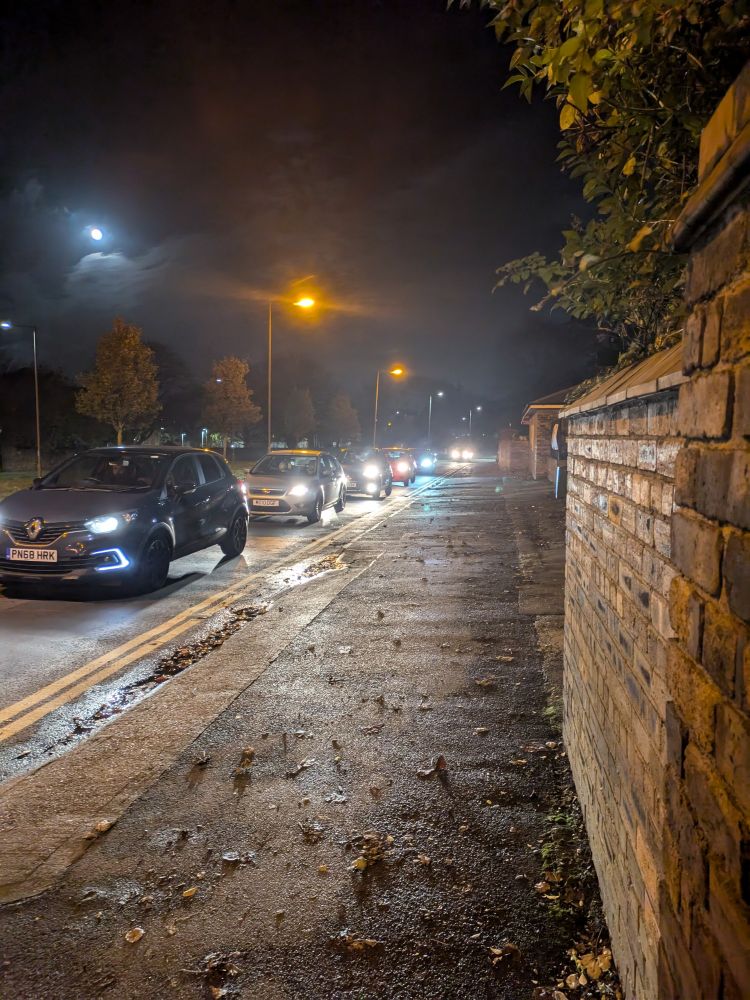 A row of cat headlights at night 