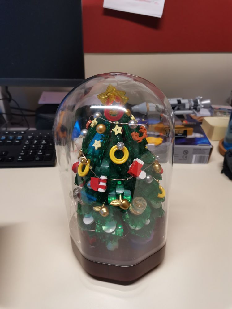 Bild 1 des Weihnachtsbaum bei Raumbelechtung