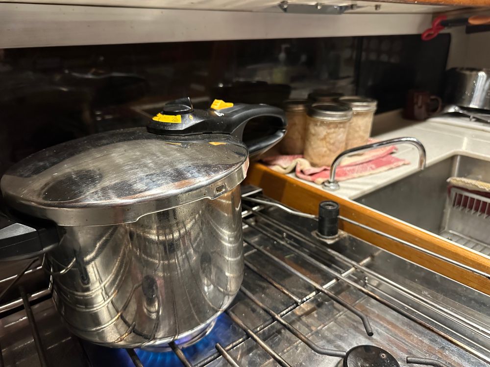 Pressure cooker on stove, pints of chicken cooling on the counter. Operation “can all the things” is in full swing. 