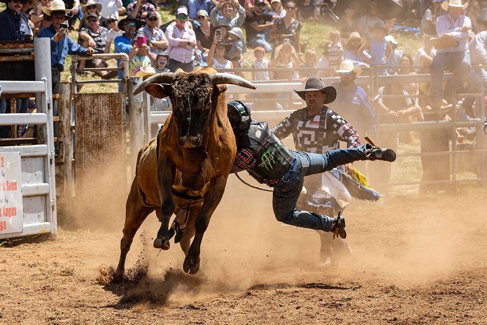 Taralga Rodeo 2023

#photography
#rodeo
#bullriding
#cowboy
