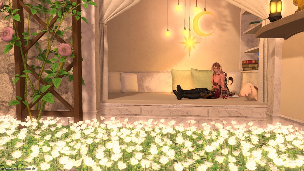 Tehanu on her reading nook inside the sunroom