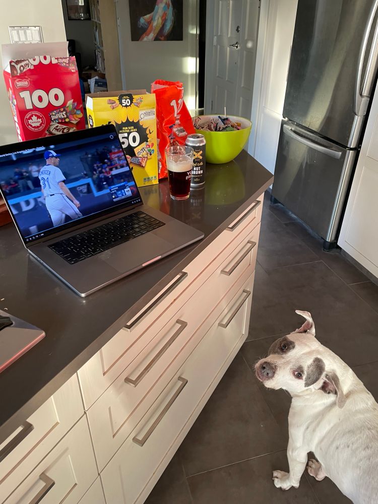 My white pittie stares up at my MacBook playing the World Series while I cook dinner. The counter is crowded with Halloween candy. 
