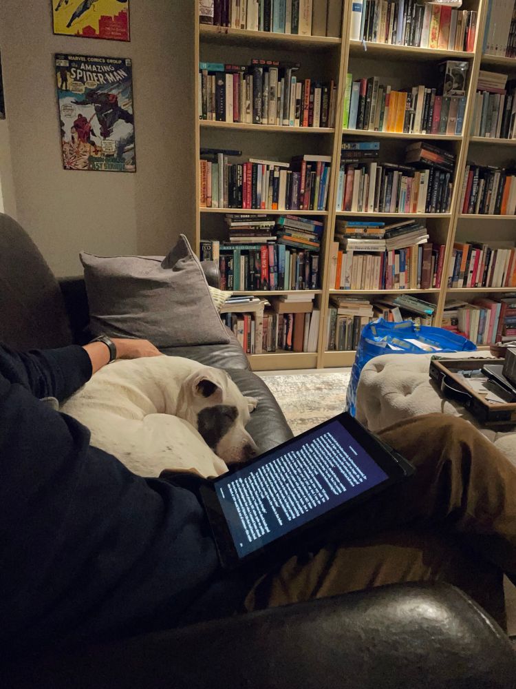 I’m reading a novel on my iPad in my den as my white pittie sleeps curled up next to me on a brown leather sofa. A stuffed bookcase is in the background. 