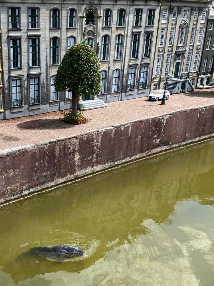 Canal scene, with fish in the foreground. Seen today in Madurodam, The Hague.