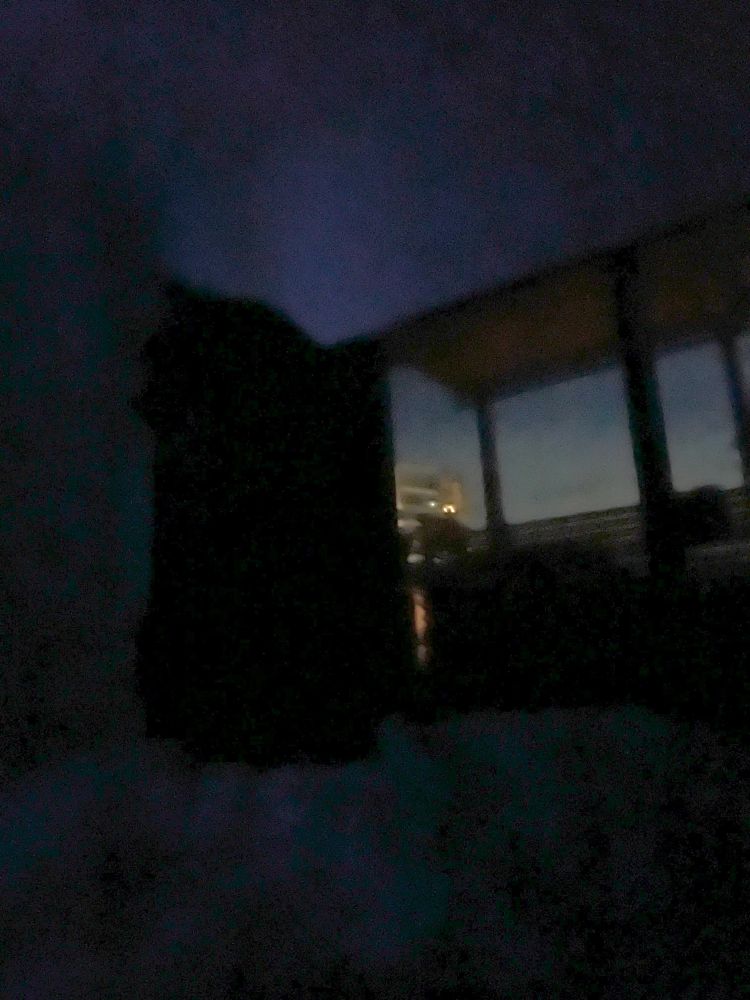 An overexposed picture of my cat sitting up on the bed watching me sleep.