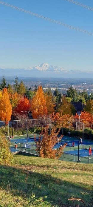 A view from a hill over pickleball courts, toward trees in autumn colours and a mountain overlooking the city in the background.