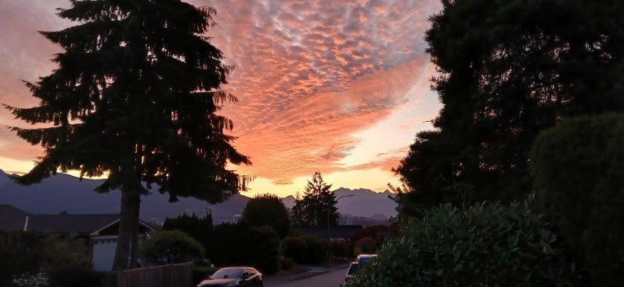 The pink-and-orange glow of a sunrise over a street lined with houses, trees and cars under a cloudy sky, with mountains in the background. 