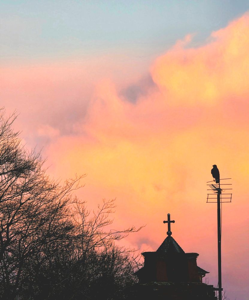 Sun setting, nicely coloured peachy clouds and a COVID sitting on a TV arial