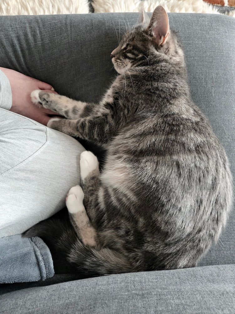 Roxanne lying next to me on the sofa. 
